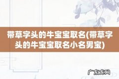 带草字头的牛宝宝取名小名男宝 带草字头的牛宝宝取名