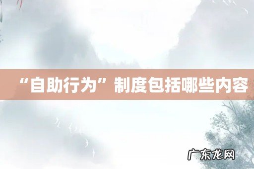 “自助行为”制度包括哪些内容