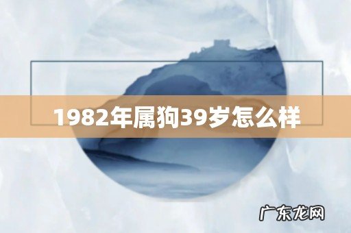 1982年属狗39岁怎么样