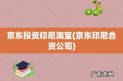京东印尼合资公司 京东投资印尼淘宝