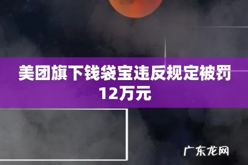 美团旗下钱袋宝违反规定被罚12万元