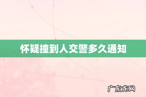 怀疑撞到人交警多久通知