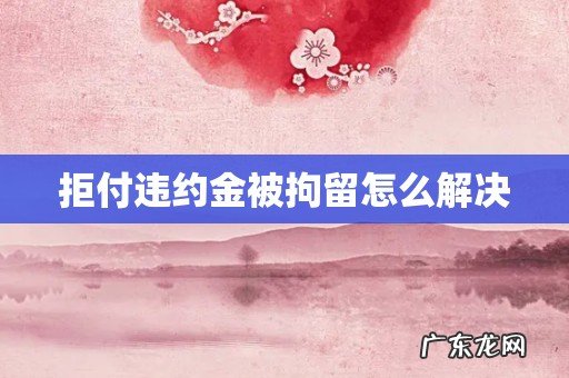 拒付违约金被拘留怎么解决