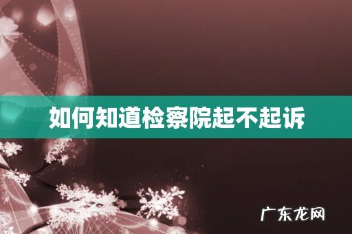 如何知道检察院起不起诉