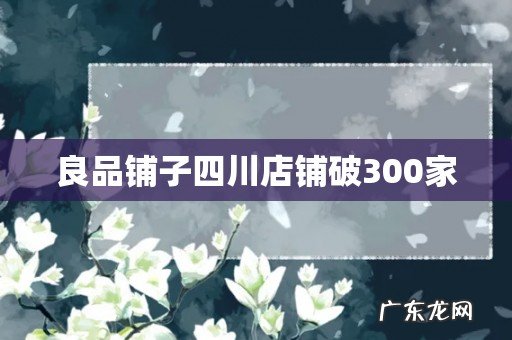 良品铺子四川店铺破300家