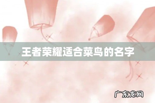 王者荣耀适合菜鸟的名字