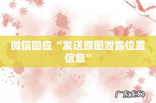 微信回应“发送原图泄露位置信息”