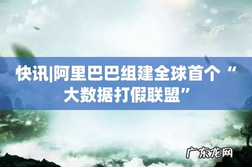 快讯|阿里巴巴组建全球首个“大数据打假联盟”