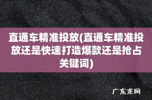 直通车精准投放还是快速打造爆款还是抢占关键词 直通车精准投放