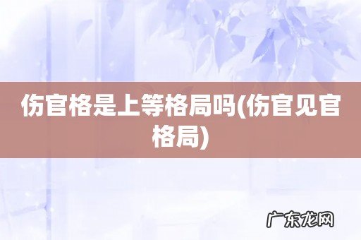 伤官见官格局 伤官格是上等格局吗