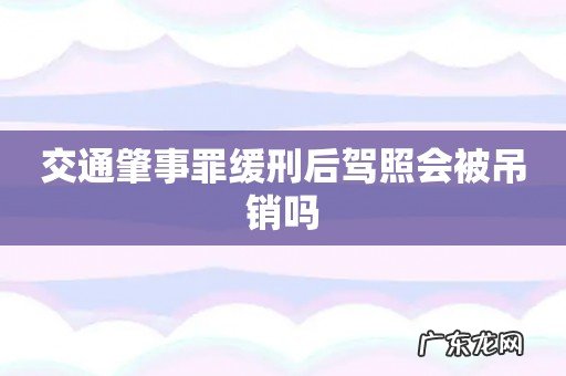 交通肇事罪缓刑后驾照会被吊销吗