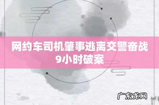 网约车司机肇事逃离交警奋战9小时破案