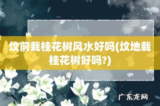 坟地栽桂花树好吗? 坟前栽桂花树风水好吗