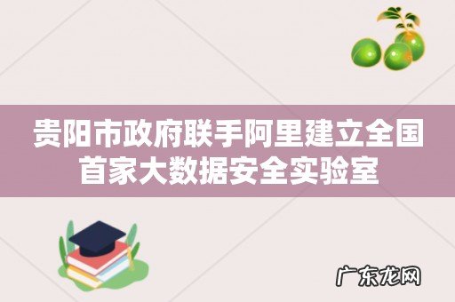 贵阳市政府联手阿里建立全国首家大数据安全实验室