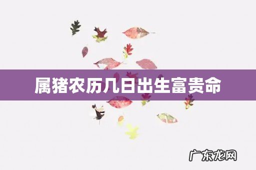 属猪农历几日出生富贵命