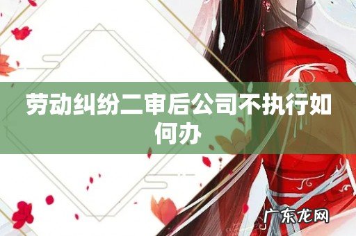 劳动纠纷二审后公司不执行如何办