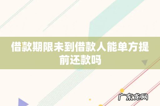 借款期限未到借款人能单方提前还款吗