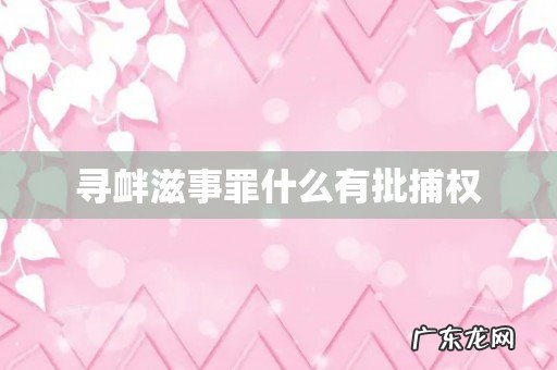 寻衅滋事罪什么有批捕权