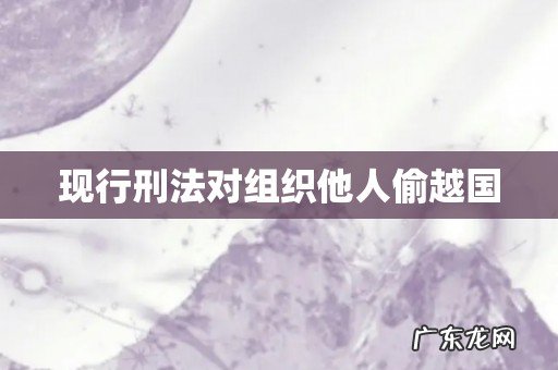 现行刑法对组织他人偷越国