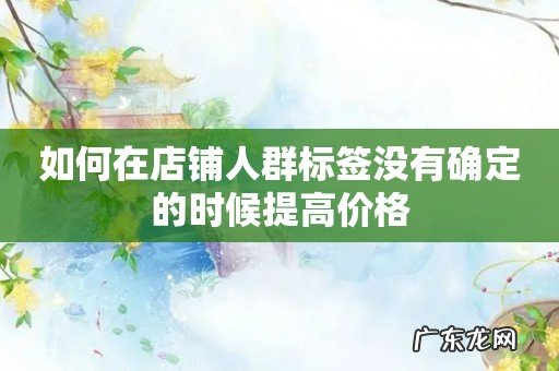 如何在店铺人群标签没有确定的时候提高价格