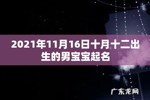 2021年11月16日十月十二出生的男宝宝起名