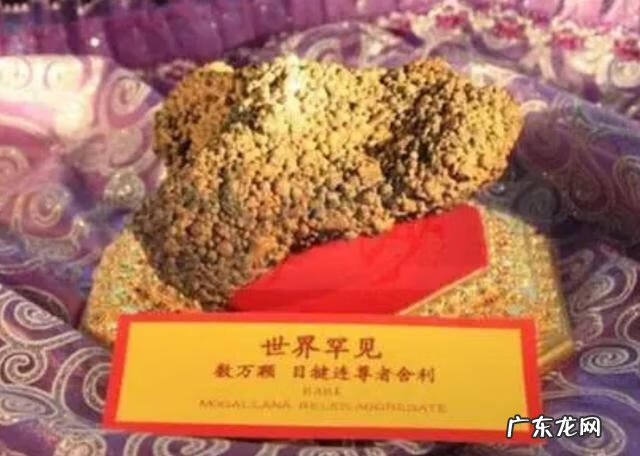 骨灰什么时候下葬好 已安葬的骨灰可以重新安葬吗?