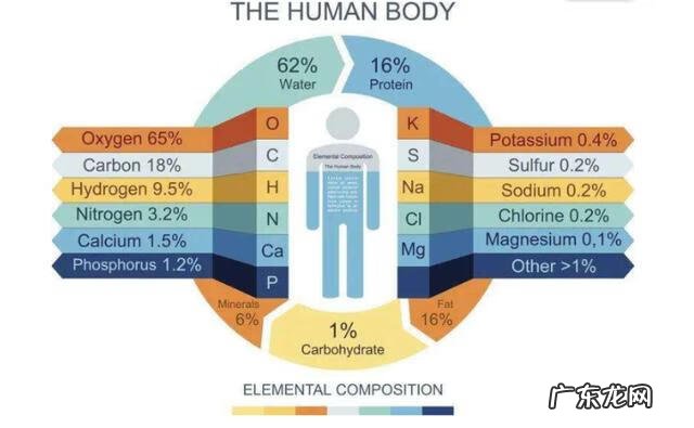 骨灰什么时候下葬好 已安葬的骨灰可以重新安葬吗?