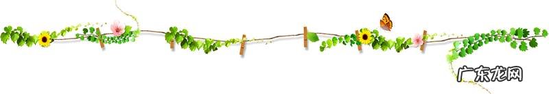 养生食疗 食疗营养师