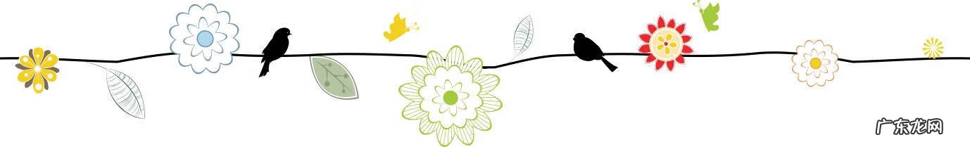 养生食疗 食疗营养师