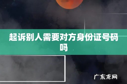起诉别人需要对方身份证号码吗