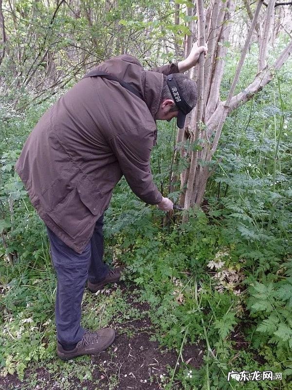 大砍刀的价钱 长砍刀价格