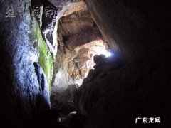 蝙蝠展翅风水宝地 蝙蝠案山风水