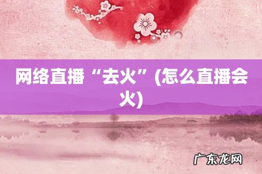 怎么直播会火 网络直播“去火”