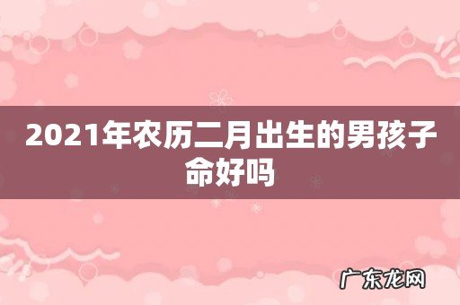 2021年农历二月出生的男孩子命好吗