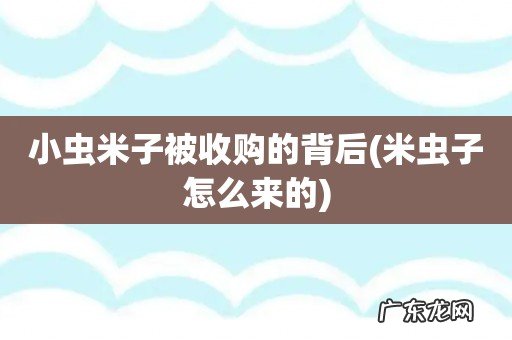 米虫子怎么来的 小虫米子被收购的背后