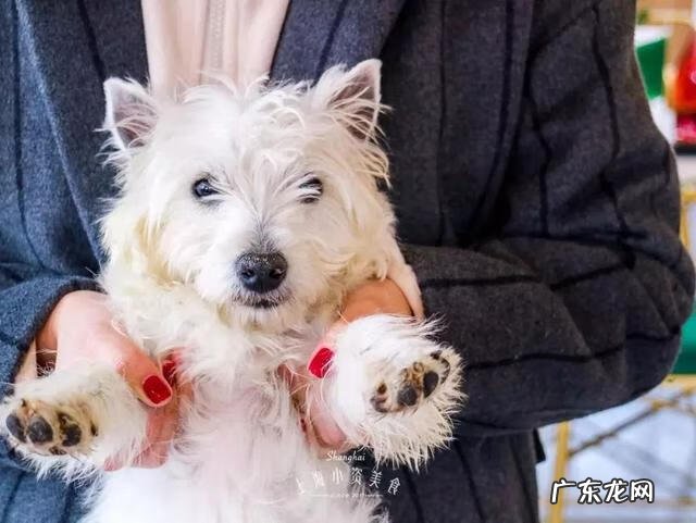 私房烘焙店面效果图 烘焙店面风水布置