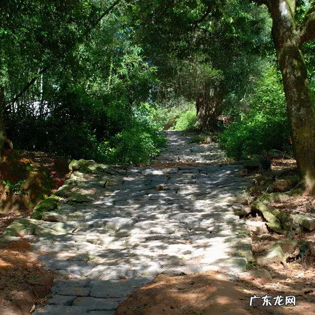 神龙汽车 龙门风水阵