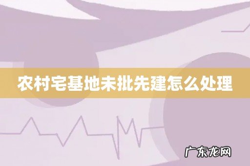 农村宅基地未批先建怎么处理