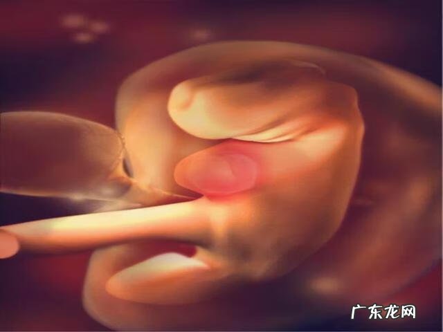 新房子空了半年了,孕妇可以入住吗 住进新屋不久就怀孕的风水说法