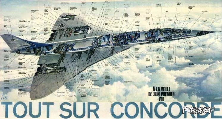 英国concord 德国concorde