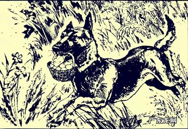 好风水宝地的明显特征 风水宝地出什么样的人才好找工作