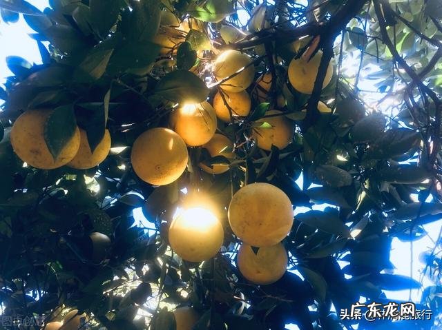 中国适合宜居的城市 中国风水宜居地方在哪里