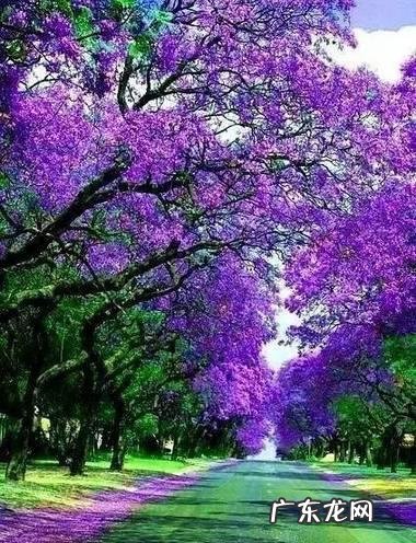 什么样的地方才是风水最好的 人最好的风水在哪里看