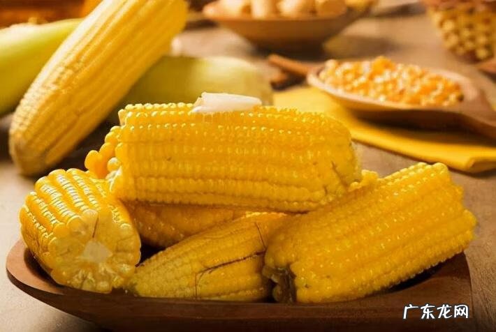 吃玉米容易发胖吗 吃玉米会发胖吗?