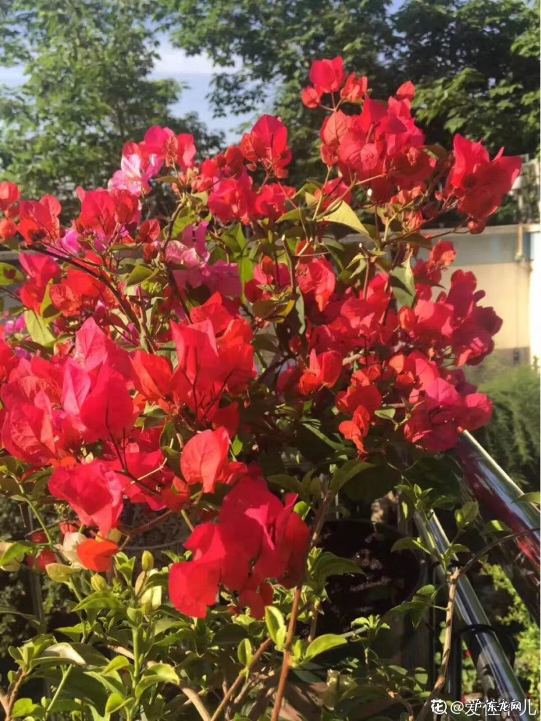 歌曲小三你好贱的歌词 小三你好贱歌词下载中文