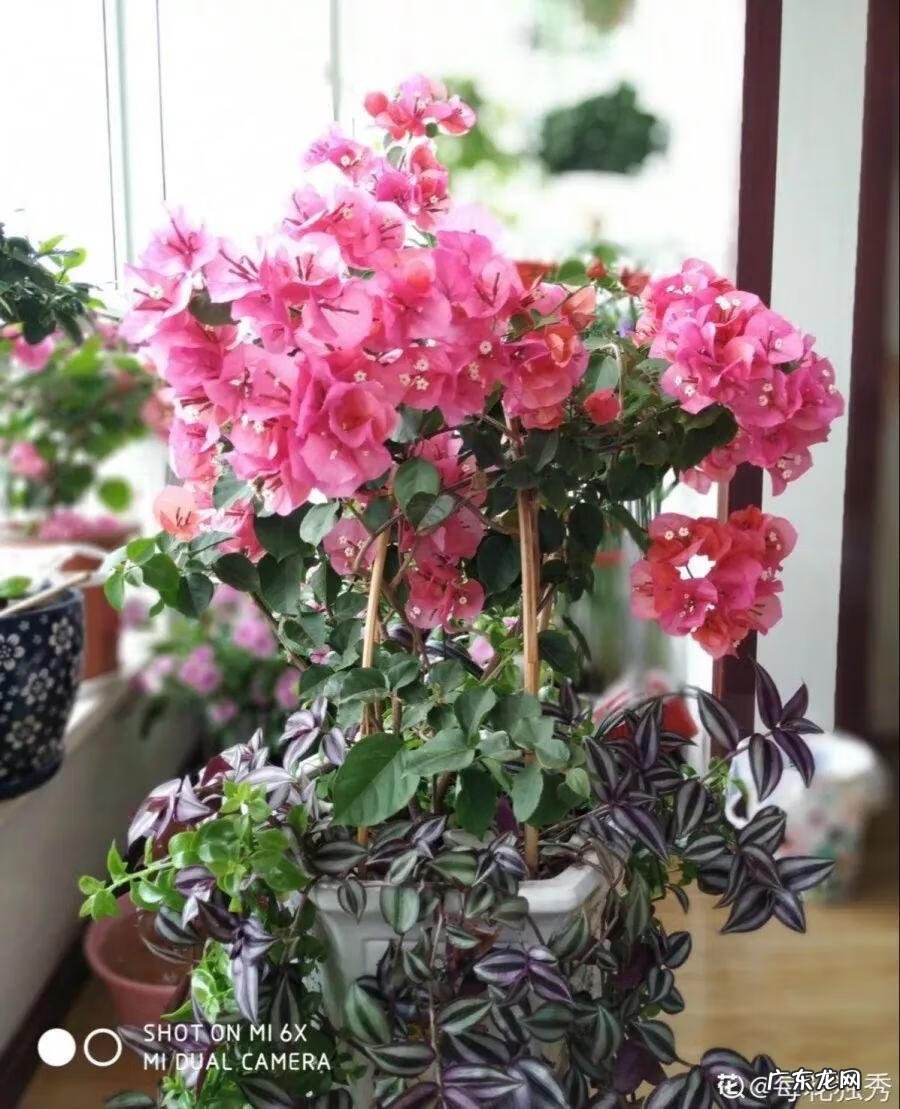 歌曲小三你好贱的歌词 小三你好贱歌词下载中文