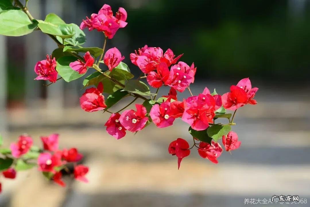 歌曲小三你好贱的歌词 小三你好贱歌词下载中文