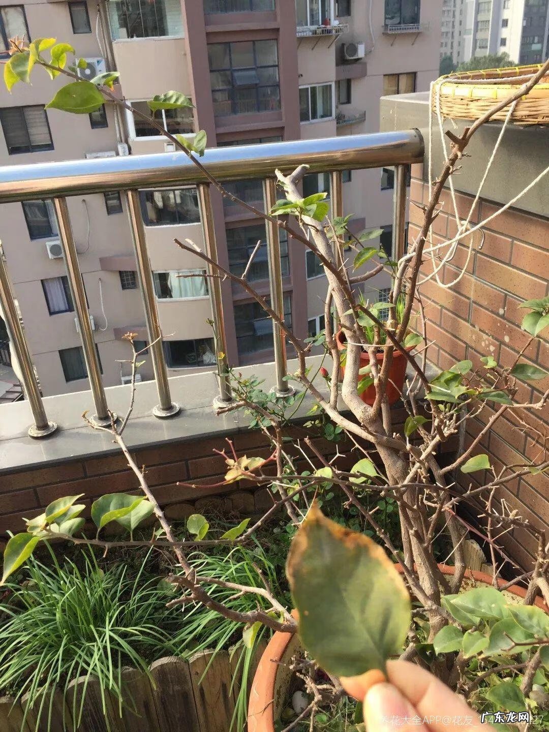 歌曲小三你好贱的歌词 小三你好贱歌词下载中文