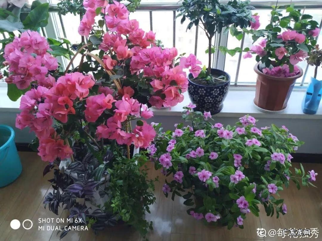 歌曲小三你好贱的歌词 小三你好贱歌词下载中文