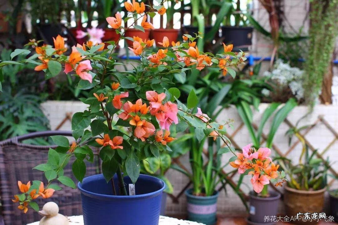 歌曲小三你好贱的歌词 小三你好贱歌词下载中文